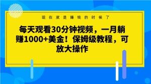 每天观看30分钟视频，一月躺赚1000+美金！保姆级教程，可放大操作-创业项目网