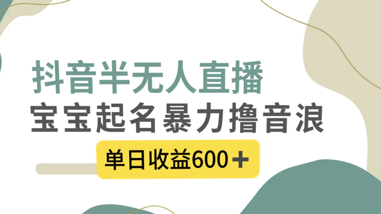 抖音半无人直播，宝宝起名，暴力撸音浪，单日收益600+-创业项目网