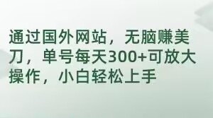 通过国外网站，无脑赚美刀，单号每天300+可放大操作，小白轻松上手-创业项目网