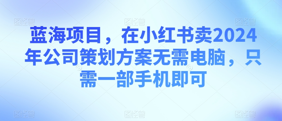 蓝海项目，在小红书卖2024年公司策划方案无需电脑，只需一部手机即可-创业项目网