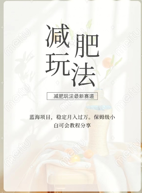 减肥流量主新玩法，轻松月入1W，可矩阵操作收入翻倍-创业项目网