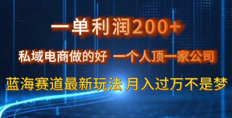 一单利润200私域电商做的好，一个人顶一家公司蓝海赛道最新玩法-创业项目网