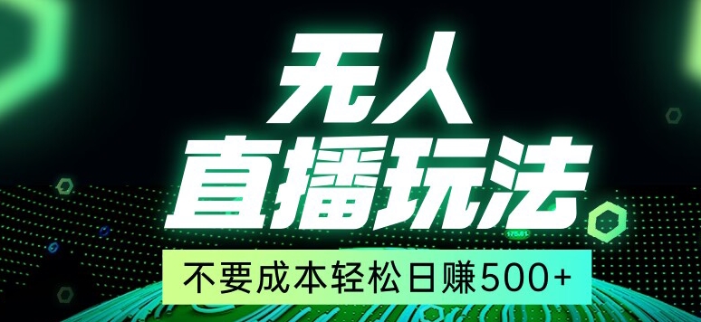 全网首发24年最新无人直播玩法，不需要成本，无需人力，一台电脑24小时为你工作-创业项目网