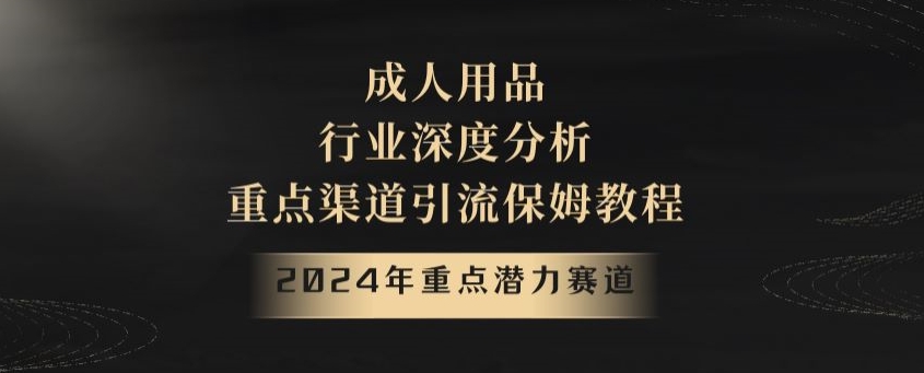 2024年重点潜力赛道，成人用品行业深度分析，重点渠道引流保姆教程-创业项目网