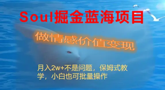 Soul掘金蓝海项目细分赛道，做情感价值变现，月入2w+不是问题-创业项目网