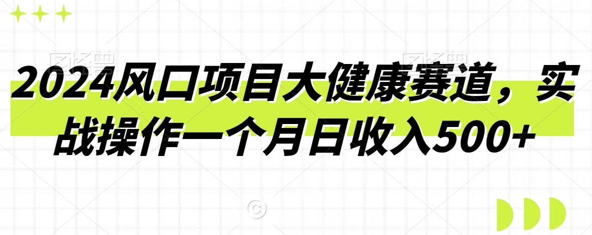 2024风口项目大健康赛道，实战操作一个月日收入500+-创业项目网