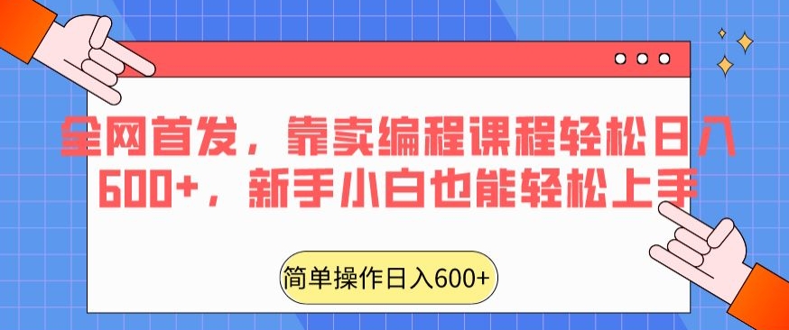 全网首发，靠卖编程课程轻松日入600+，新手小白也能轻松上手-创业项目网