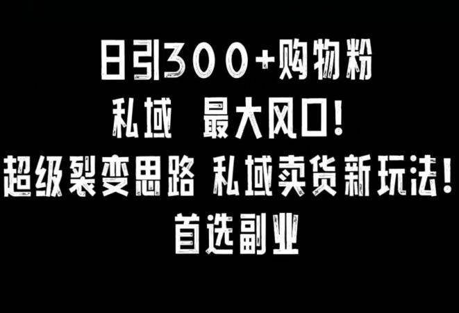 日引300+购物粉，超级裂变思路，私域卖货新玩法，小红书首选副业-创业项目网