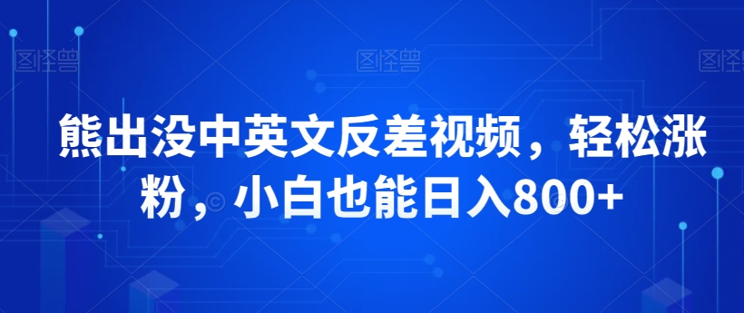 熊出没中英文反差视频，轻松涨粉，小白也能日入800+-创业项目网