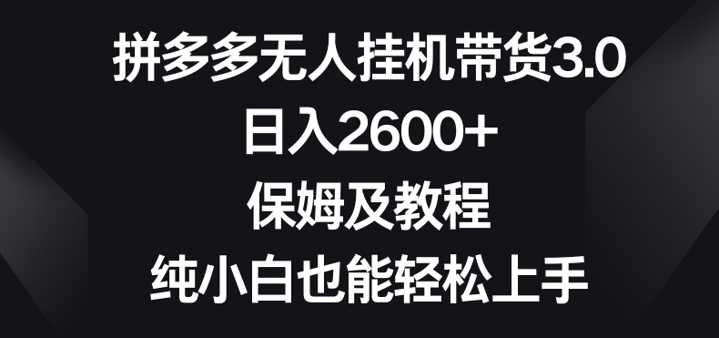 拼多多无人挂机带货3.0高收益玩法，日入2600+，保姆及教程，纯小白也能轻松上手-创业项目网