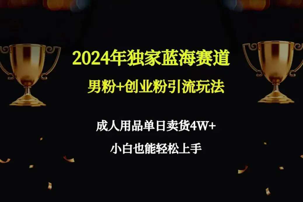 2024年独家蓝海赛道男粉+创业粉引流玩法，成人用品单日卖货4W+保姆教程-创业项目网