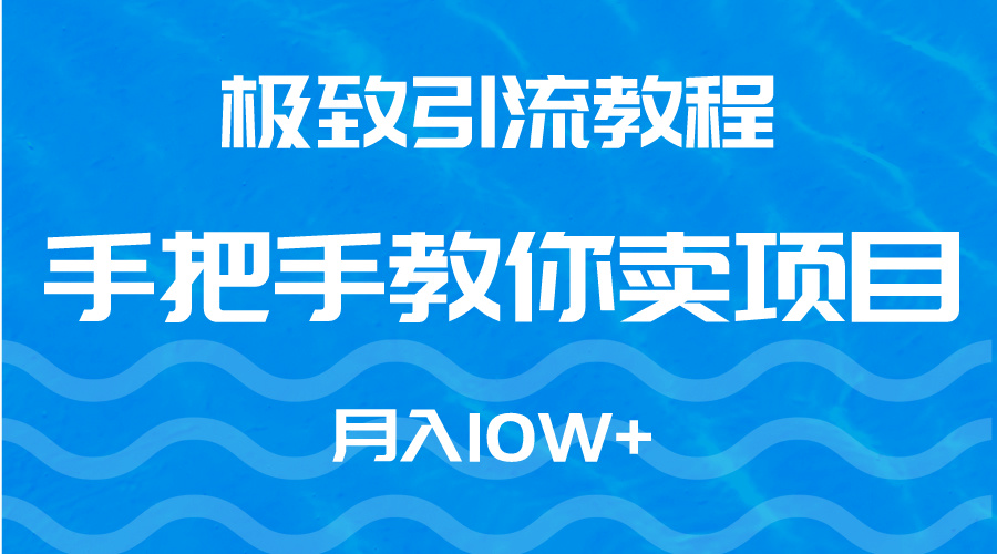 极致引流教程，手把手教你卖项目，月入10W+-创业项目网