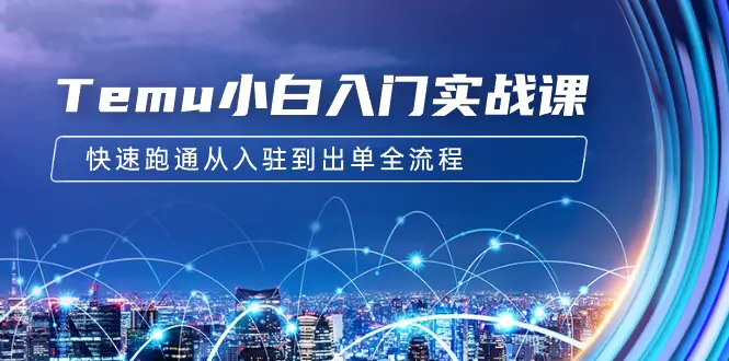 Temu小白入门实战课：跨境拼多多电商培训 快速跑通从入驻到出单全流程-12节-创业项目网