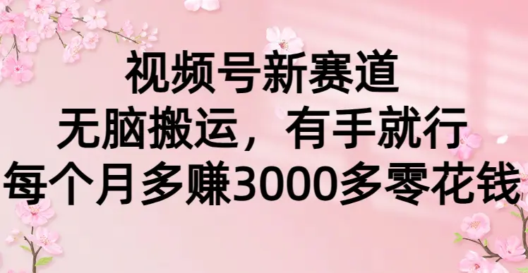 视频号新赛道，无脑搬运，有手就行，每个月多赚3000多零花钱-创业项目网