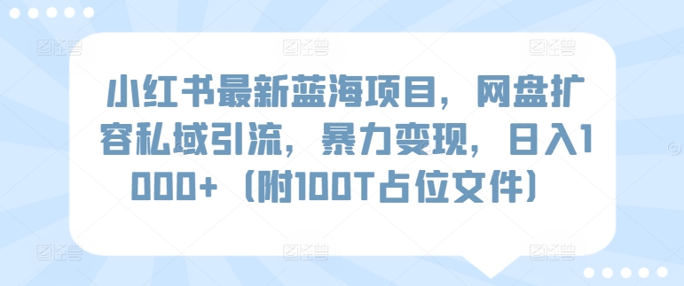 小红书最新蓝海项目，网盘扩容私域引流，暴力变现，日入1000+（附100T占位文件）-创业项目网