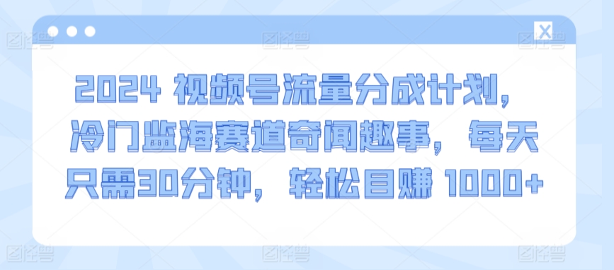 2024视频号流量分成计划，冷门蓝海赛道奇闻趣事，每天只需30分钟，轻松日赚 1000+-创业项目网