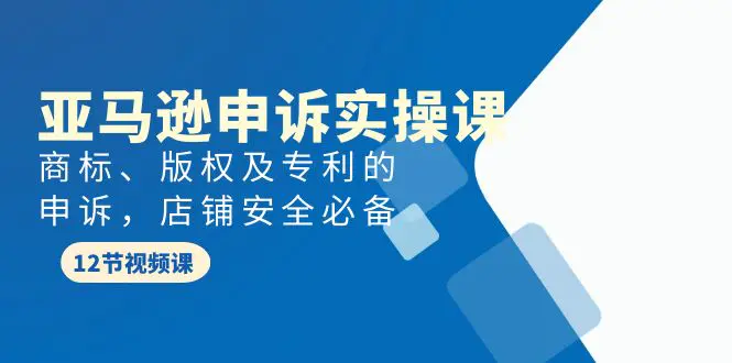 亚马逊-申诉实战课，商标、版权及专利的申诉，店铺安全必备-创业项目网