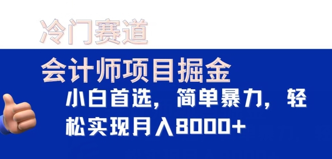 冷门赛道，会计师项目掘金，小白首选，简单暴力，轻松实现月入8000+-创业项目网