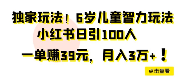 独家玩法，6岁儿童智力玩法，小红书日引100人-创业项目网