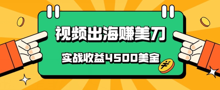 国内爆款视频出海赚美刀，实战收益4500美金，批量无脑搬运，无需经验直接上手-创业项目网