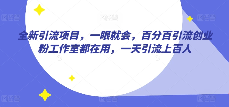 全新引流项目，一眼就会，百分百引流创业粉工作室都在用，一天引流上百人-创业项目网