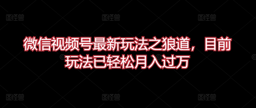 微信视频号最新玩法之狼道，目前玩法已轻松月入过万-创业项目网