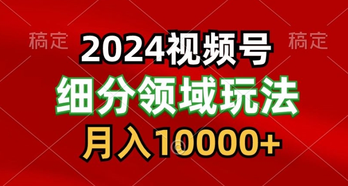 2024视频号分成计划细分领域爆款搬运玩法，每天5分钟，月入1W+-创业项目网