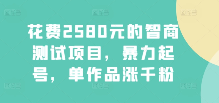 花费2580元的智商测试项目，暴力起号，单作品涨千粉-创业项目网