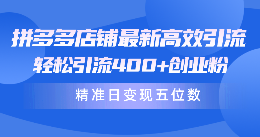 拼多多店铺最新高效引流术，轻松引流400+创业粉，精准日变现五位数！-创业项目网