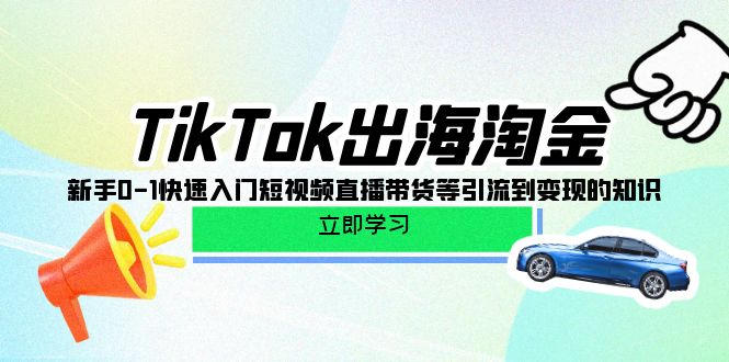 TikTok出海淘金，新手0-1快速入门短视频直播带货等引流到变现的知识-创业项目网