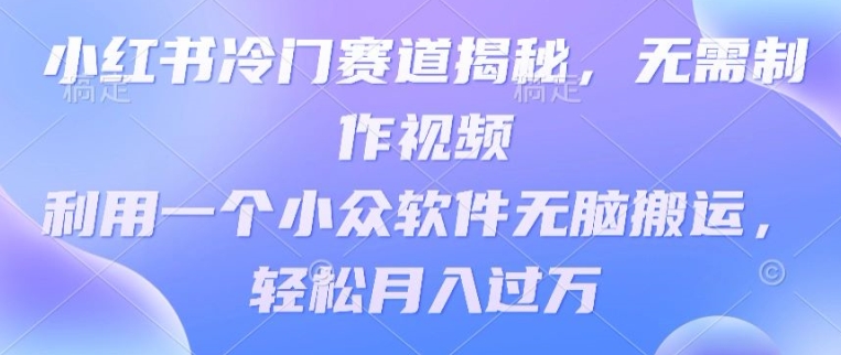 小红书冷门赛道揭秘，无需制作视频，利用一个小众软件无脑搬运，轻松月入过万-创业项目网