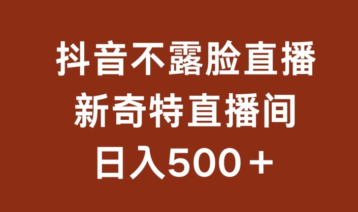 不露脸挂机直播，新奇特直播间，日入500+-创业项目网