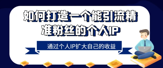 如何打造一个能引流精准粉丝的个人IP，通过个人IP扩大自己的收益-创业项目网