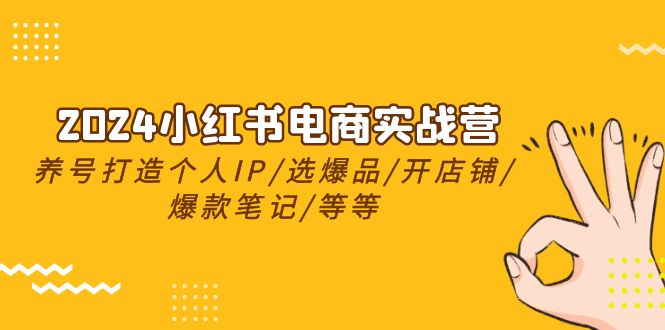 2024小红书电商实战营，养号打造IP/选爆品/开店铺/爆款笔记/等等（24节）-创业项目网