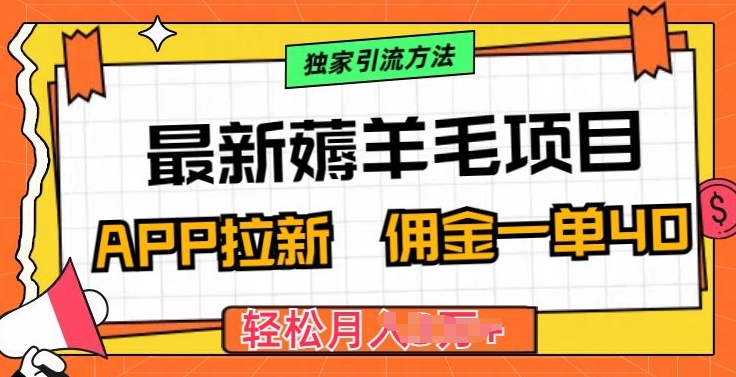 最新薅羊毛项目，利用购物APP拉新，佣金一单40.配合独家引流方法-创业项目网