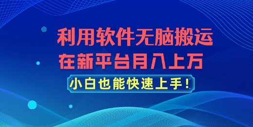 利用软件无脑搬运，在新平台月入上万，小白也能快速上手-创业项目网