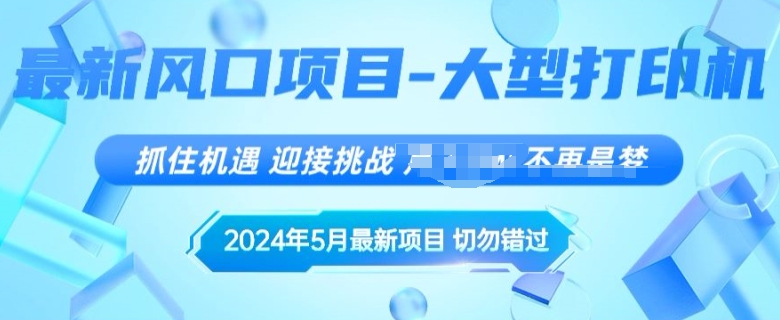 2024年5月最新风口项目，闲鱼卖大型打印机，无货源赚差价模式，小白也可以操作-创业项目网