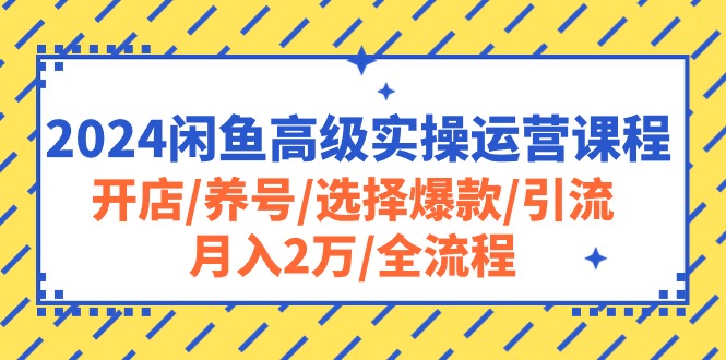 2024闲鱼高级实操运营课程：开店/养号/选择爆款/引流/月入2万/全流程-创业项目网