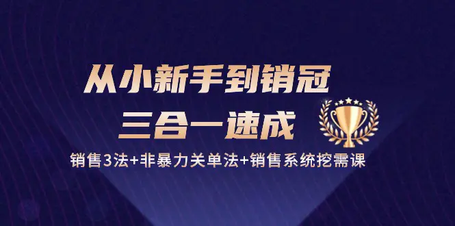 从小新手到销冠 三合一速成：销售3法+非暴力关单法+销售系统挖需课 (27节)-创业项目网