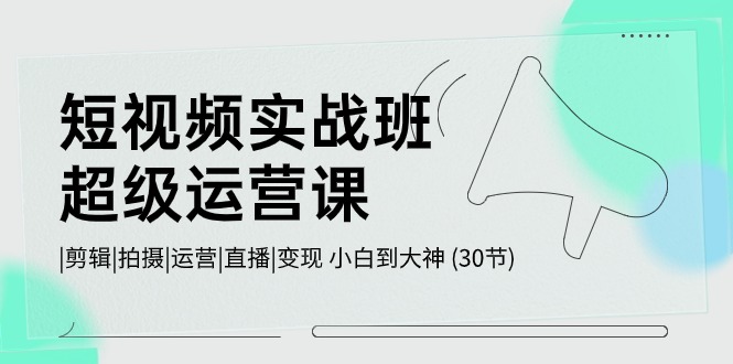 短视频实战班-超级运营课，|剪辑|拍摄|运营|直播|变现 小白到大神 (30节)-创业项目网