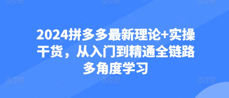 2024拼多多最新理论+实操干货，从入门到精通全链路多角度学习-创业项目网