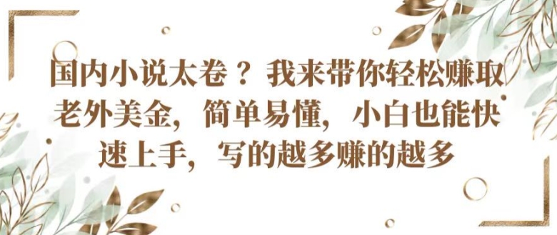 国内小说太卷 ?带你轻松赚取老外美金，简单易懂，小白也能快速上手，写的越多赚的越多-创业项目网