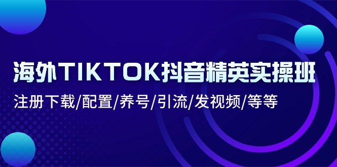 海外TIKTOK抖音精英实操班：注册下载/配置/养号/引流/发视频/等等-创业项目网