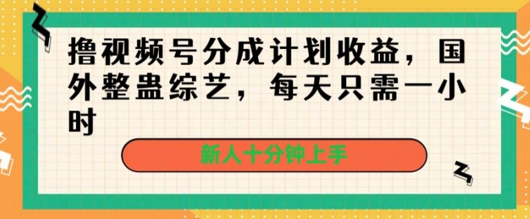 撸视频号分成计划收益，国外整蛊综艺，每天只需一小时，新人十分钟上手-创业项目网