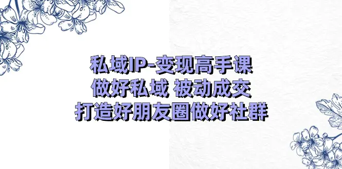 私域IP-变现高手课：做好私域 被动成交，打造好朋友圈做好社群（18节）-创业项目网