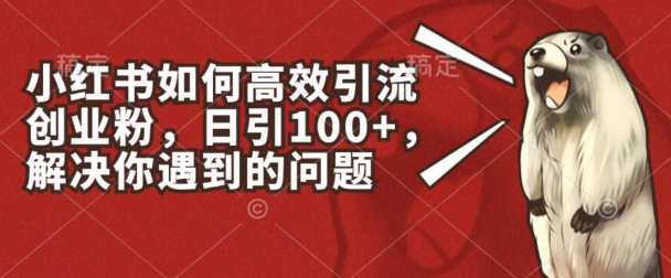 小红书如何高效引流创业粉，日引100+，解决你遇到的问题-创业项目网