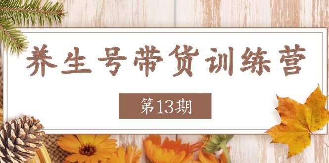 养生号带货训练营【第13期】收益更稳定的玩法，让你带货收益爆炸-创业项目网