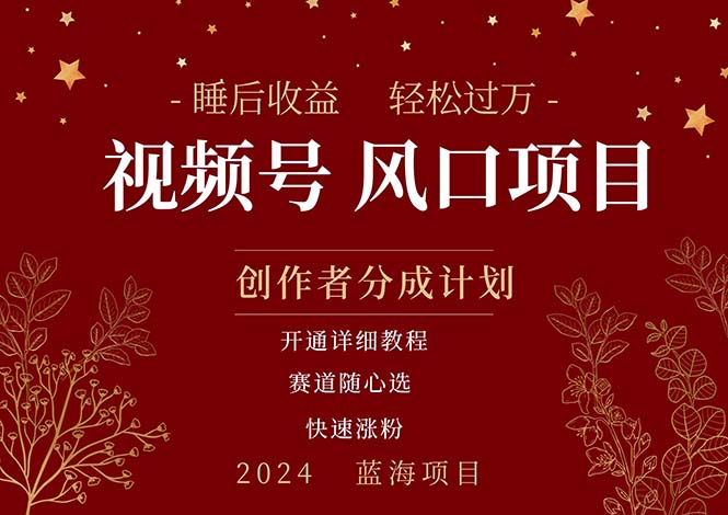 拥有睡后收益的微信视频号大风口项目，轻松月入过万+，多赛道选择，可矩阵，玩法简单轻松上手-创业项目网