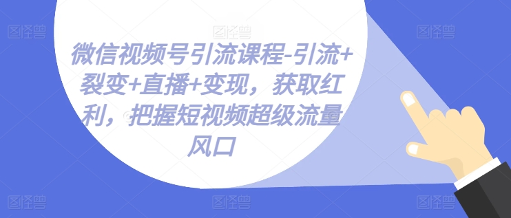 微信视频号引流课程-引流+裂变+直播+变现，获取红利，把握短视频超级流量风口-创业项目网