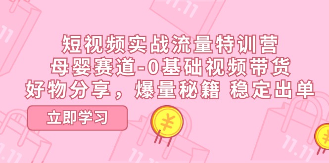 短视频实战流量特训营，母婴赛道-0基础带货，好物分享，爆量秘籍 稳定出单-创业项目网